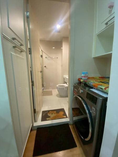 Q House Sukhumvit 79, bangkok, 2059 Sukhumvit Road, Phra Kanong Nua, Watthana, Bangkok, 1 Bedroom, 31 sqm, Condo For Rent, by Pichamon Chawbantard, 500586058 - DDproperty.com