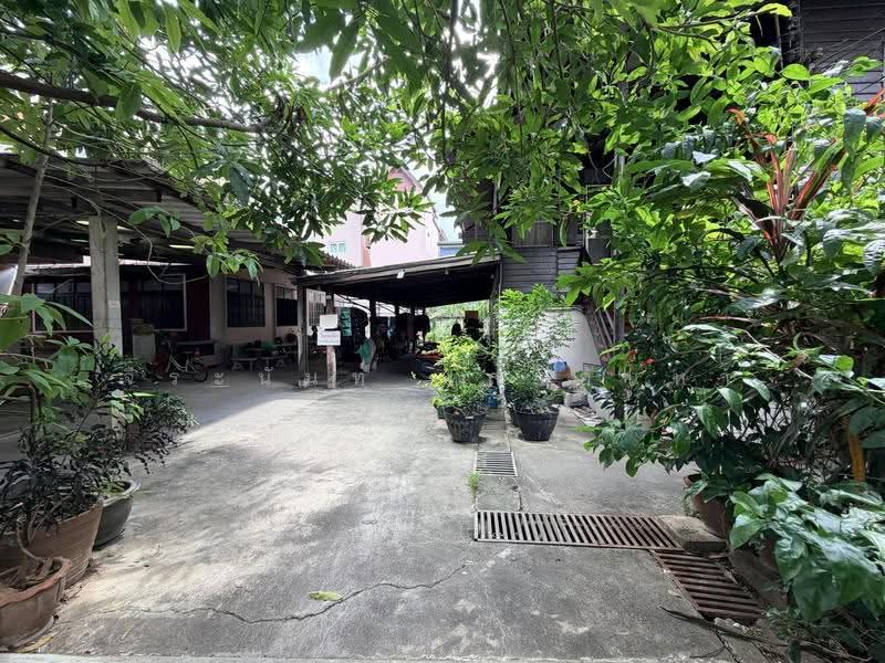 ที่ดิน 240 ตรว.พร้อมสิ่งปลูกสร้าง ใจกลางคุเมือง ถนนอารักษ์ เชียงใหม่, เชียงใหม่, ศรีภูมิ, เมืองเชียงใหม่, เชียงใหม่, 500 ตร.ม., บ้านเดี่ยว ขาย, โดย จีระนันท์ หล้ากันหา, 500586225 - DDproperty.com