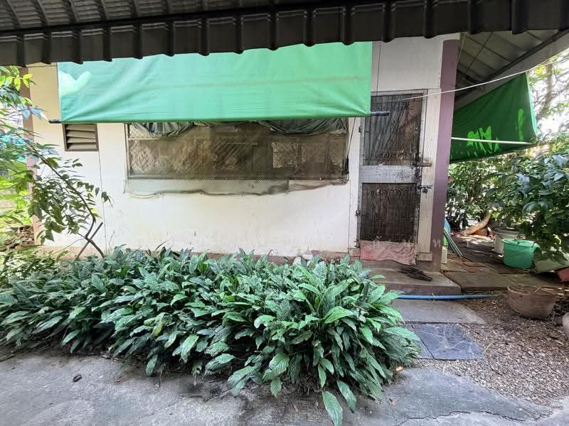 ที่ดิน 240 ตรว.พร้อมสิ่งปลูกสร้าง ใจกลางคุเมือง ถนนอารักษ์ เชียงใหม่, เชียงใหม่, ศรีภูมิ, เมืองเชียงใหม่, เชียงใหม่, 500 ตร.ม., บ้านเดี่ยว ขาย, โดย จีระนันท์ หล้ากันหา, 500586225 - DDproperty.com