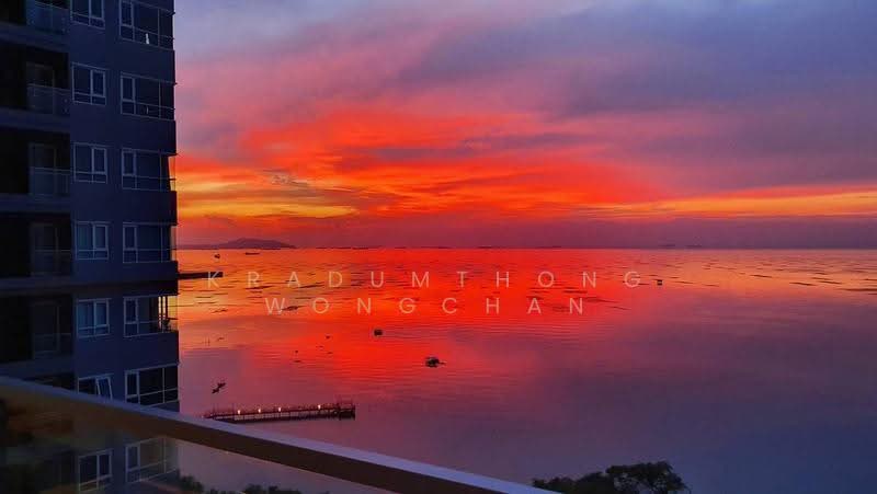 The Zea Sriracha, chon-buri, 9 Moo 9, Bang Phra, Si Racha, Chon Buri (Pattaya), 1 Bedroom, 34 sqm, Condo For Rent, by Kradumthong Wongchan, 500586272 - DDproperty.com