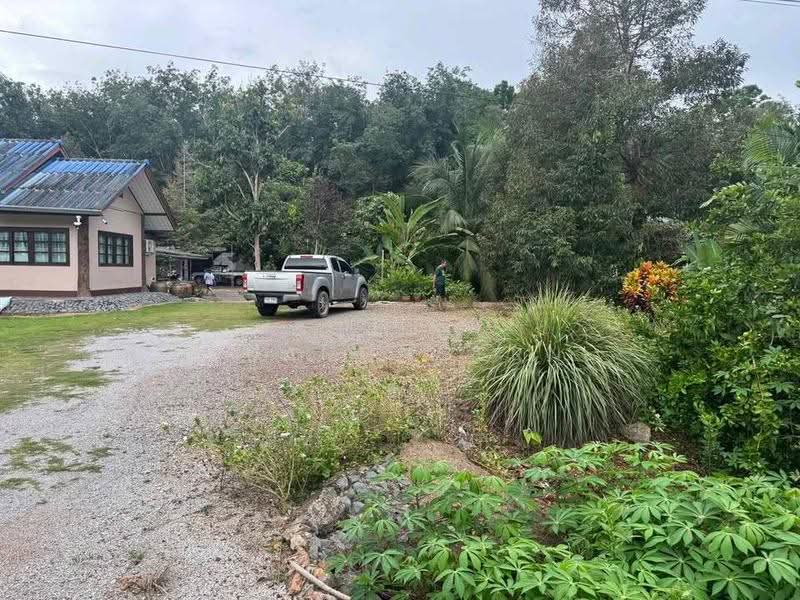 2-BR House, surat-thani, Tha Sathon, Phunphin, Surat Thani, 2 Bedrooms, 66 sqm, Single Detached House For Sale, by Sujika Puangngern, 500586335 - DDproperty.com