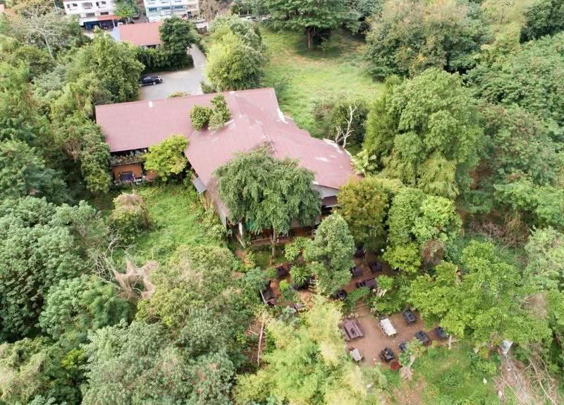 For Sale: 553 Sq.wah Piverside Land with Existing Business in Pa Tan Muang Chiang Mai, chiang-mai, Pa Tun, Muang Chiang Mai, Chiang Mai, 2 Bedrooms, 600 sqm, Single Detached House For Sale, by จีระนันท์ หล้ากันหา, 500586338 - DDproperty.com