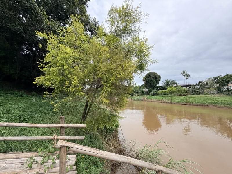 For Sale: 553 Sq.wah Piverside Land with Existing Business in Pa Tan Muang Chiang Mai, chiang-mai, Pa Tun, Muang Chiang Mai, Chiang Mai, 2 Bedrooms, 600 sqm, Single Detached House For Sale, by จีระนันท์ หล้ากันหา, 500586338 - DDproperty.com