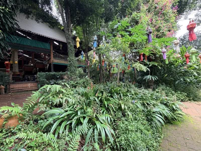 For Sale: 553 Sq.wah Piverside Land with Existing Business in Pa Tan Muang Chiang Mai, chiang-mai, Pa Tun, Muang Chiang Mai, Chiang Mai, 2 Bedrooms, 600 sqm, Single Detached House For Sale, by จีระนันท์ หล้ากันหา, 500586338 - DDproperty.com