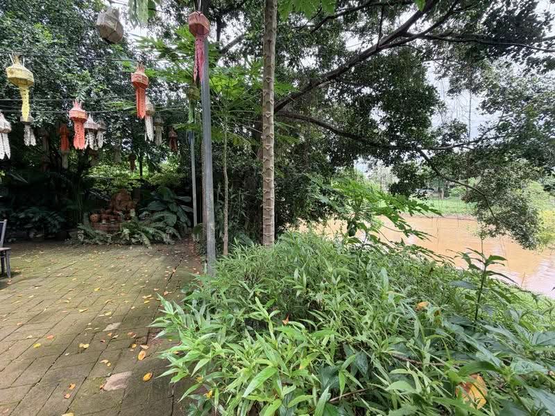 For Sale: 553 Sq.wah Piverside Land with Existing Business in Pa Tan Muang Chiang Mai, chiang-mai, Pa Tun, Muang Chiang Mai, Chiang Mai, 2 Bedrooms, 600 sqm, Single Detached House For Sale, by จีระนันท์ หล้ากันหา, 500586338 - DDproperty.com