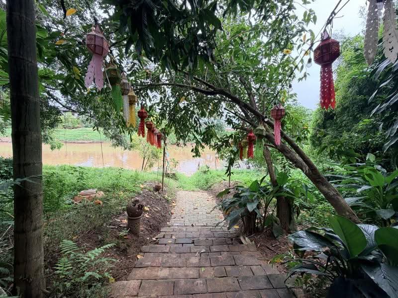 ขายที่ดินริมน้ำปิง 553 ตรว. พร้อมกิจการ ตำบลป่าตัน อำเภอเมือง เชียงใหม่, เชียงใหม่, ป่าตัน, เมืองเชียงใหม่, เชียงใหม่, 600 ตร.ม., บ้านเดี่ยว ขาย, โดย จีระนันท์ หล้ากันหา, 500586338 - DDproperty.com