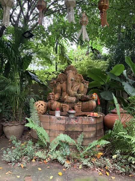 For Sale: 553 Sq.wah Piverside Land with Existing Business in Pa Tan Muang Chiang Mai, chiang-mai, Pa Tun, Muang Chiang Mai, Chiang Mai, 2 Bedrooms, 600 sqm, Single Detached House For Sale, by จีระนันท์ หล้ากันหา, 500586338 - DDproperty.com