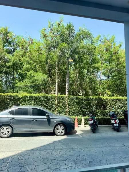 Dusit Grand Park, chon-buri, 384/206, Moo 12, Jomtiensaineung Road, Bang Lamung, Bang Lamung (Pattaya), Chon Buri (Pattaya), 2 Bedrooms, 63 sqm, Condo For Rent, by JaoBen Benjawan, 500586640 - DDproperty.com