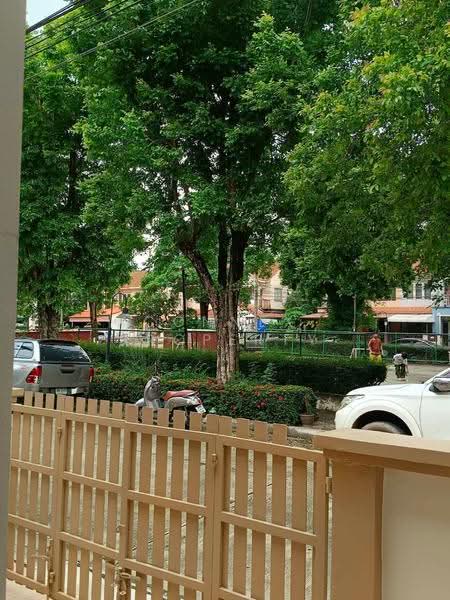 Baanfah Piyarom Ruean Phruek Wongwaen - Lumlukka Klong 6, pathum-thani, ลำลูกกา คลอง 6, Bung Kham Proi, Lam Luk Ka, Pathum Thani, 3 Bedrooms, 80 sqm, Townhouse For Sale, by Connex Property, 500586713 - DDproperty.com