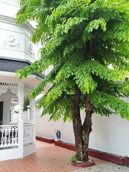 Fantasia Villa 2, samut-prakan, Sukhumvit 107, Samrong Nua, Muang Samut Prakarn, Samut Prakan, 4 Bedrooms, 350 sqm, Single Detached House For Rent, by Sompob Buaparungsri, 500586729 - DDproperty.com