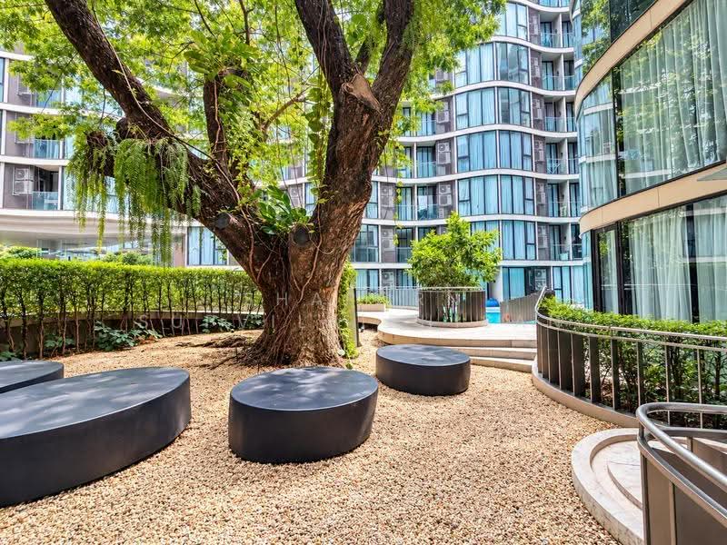 Fynn Asoke, bangkok, 28 Sukhumvit 10 Alley, Khlong Toei, Bangkok, 1 Bedroom, 37 sqm, Condo For Rent, by Shaporn Supvilaiphisan, 500586742 - DDproperty.com