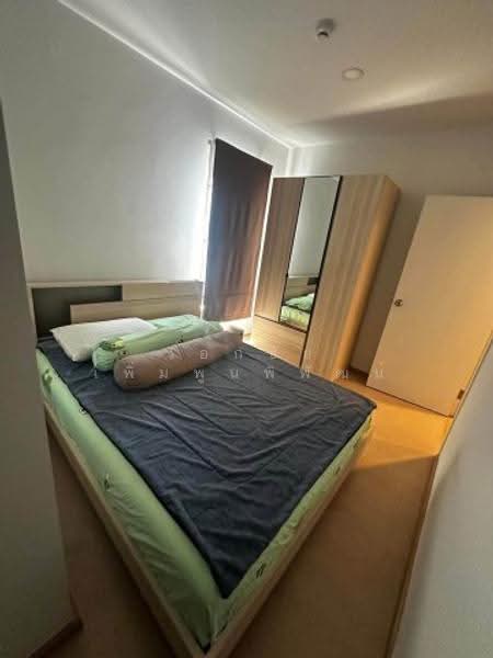 The Tree Sukhumvit 71-Ekamai, bangkok, 1269 Sukhumvit 71 Road, Suan Luang, Bangkok, 1 Bedroom, 35 sqm, Condo For Rent, by เอกชัย เพิ่มพูนพิพัฒน์, 500586801 - DDproperty.com