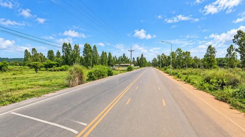 Land for Sale on a 4-Lane Road, 67 m Frontage, Only 1.2 km from Mae Ramphueng Beach, 1-0-57 Rai, Phe, rayong, Phe, Muang Rayong, Rayong, , 1,828 sqm, Land For Sale, by สุเทพ พสุวณิชย์กุล, 500586809 - DDproperty.com