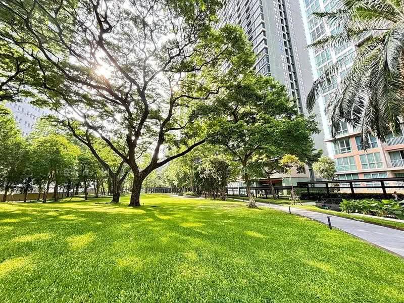 The Line Vibe, bangkok, 414, Jom Phon, Chatuchak, Bangkok, 1 Bedroom, 37 sqm, Condo For Rent, by Ramita Theptham, 500586883 - DDproperty.com