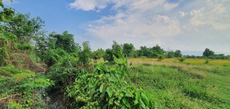 ที่ดินพาน เชียงราย, chiang-rai, Hua Ngom, Phan, Chiang Rai, , 11,964 sqm, Land For Sale, by The Best Property ไนล์, 500586909 - DDproperty.com