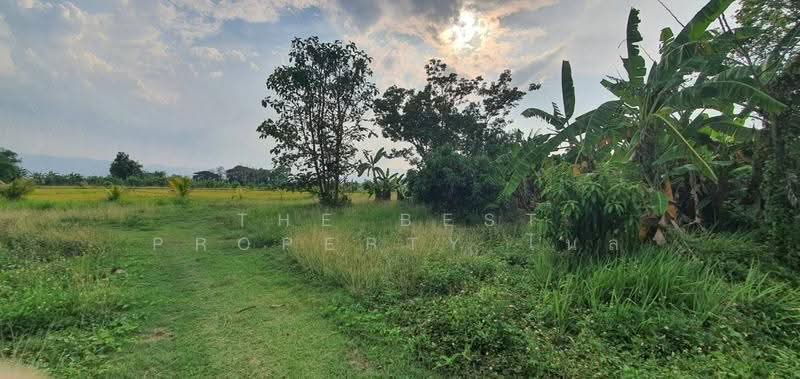 ที่ดินพาน เชียงราย, เชียงราย, หัวง้ม, พาน, เชียงราย, 11,964 ตร.ม., ที่ดิน ขาย, โดย The Best Property ไนล์, 500586909 - DDproperty.com