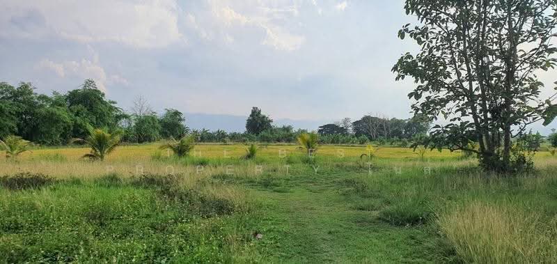 ที่ดินพาน เชียงราย, เชียงราย, หัวง้ม, พาน, เชียงราย, 11,964 ตร.ม., ที่ดิน ขาย, โดย The Best Property ไนล์, 500586909 - DDproperty.com