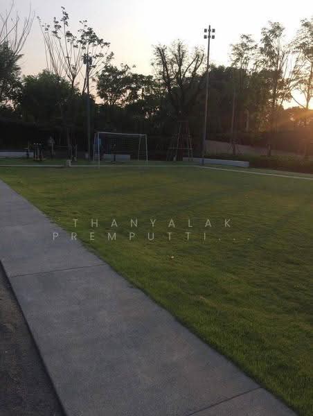 IDEO O2 Bangna, bangkok, 195 Sanphawut Road, Bang Na Tai, Bang Na, Bangkok, 1 Bedroom, 33 sqm, Condo For Rent, by Thanyalak Premputtiphan, 500586935 - DDproperty.com