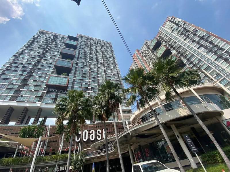 The Coast, bangkok, 3888 Sukhumvit Road, Bang Na Tai, Bang Na, Bangkok, 3 Bedrooms, 92 sqm, Condo For Rent, by Manapong Phromphitak, 500586977 - DDproperty.com