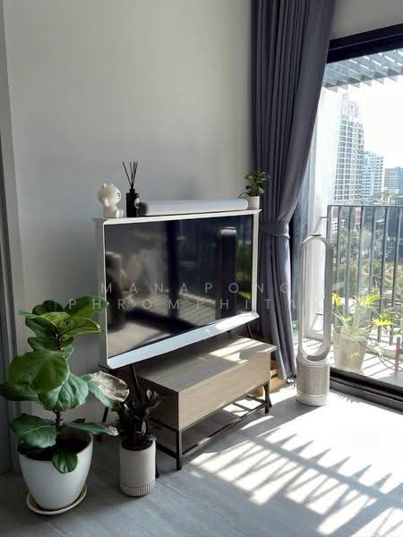 XT Ekkamai, bangkok, 259 Soi Sukhumvit 63, Khlong Tan Nua, Watthana, Bangkok, 1 Bedroom, 31 sqm, Condo For Rent, by Manapong Phromphitak, 500587105 - DDproperty.com