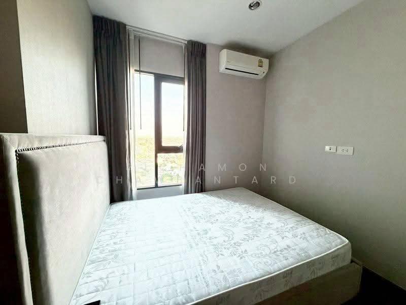 C Ekkamai, bangkok, 888 Soi Sukhumvit 63, Sukhumvit Road, Khlong Tan Nua, Watthana, Bangkok, 1 Bedroom, 35 sqm, Condo For Rent, by Pichamon Chawbantard, 500587214 - DDproperty.com