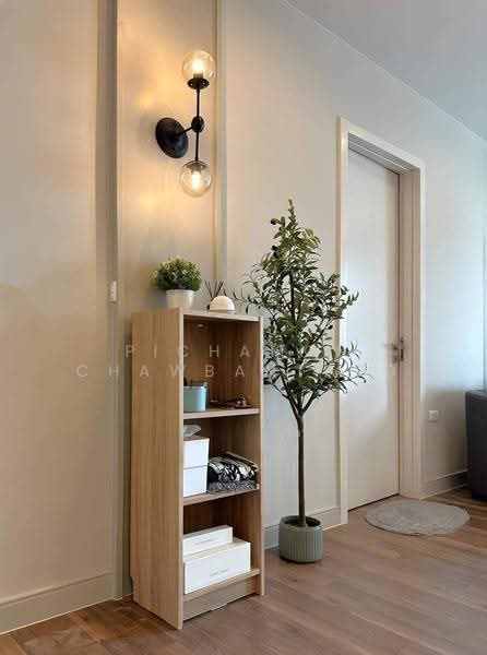 The Room Sukhumvit 62, bangkok, 2288 Sukhumvit Road, Bang Chak, Phra Khanong, Bangkok, 2 Bedrooms, 76 sqm, Condo For Rent, by Pichamon Chawbantard, 500587246 - DDproperty.com