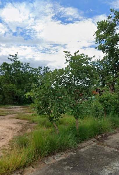ที่ดินบ้านธิ ลำพูน, ลำพูน, บ้านธิ, ลำพูน, 452 ตร.ม., ที่ดิน ขาย, โดย The Best Property ณัฐ, 500587259 - DDproperty.com