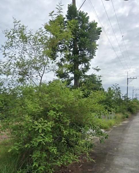 ที่ดินบ้านธิ ลำพูน, lamphun, Ban Thi, Lamphun, , 452 sqm, Land For Sale, by The Best Property   ณัฐ, 500587259 - DDproperty.com