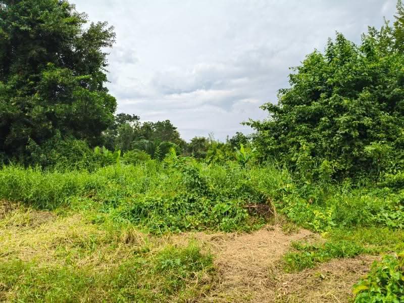 ที่ดินแกลง ระยอง, rayong, Thang Kwian, Klaeng, Rayong, , 1,865 sqm, Land For Sale, by The Best Property ยุ, 500587303 - DDproperty.com