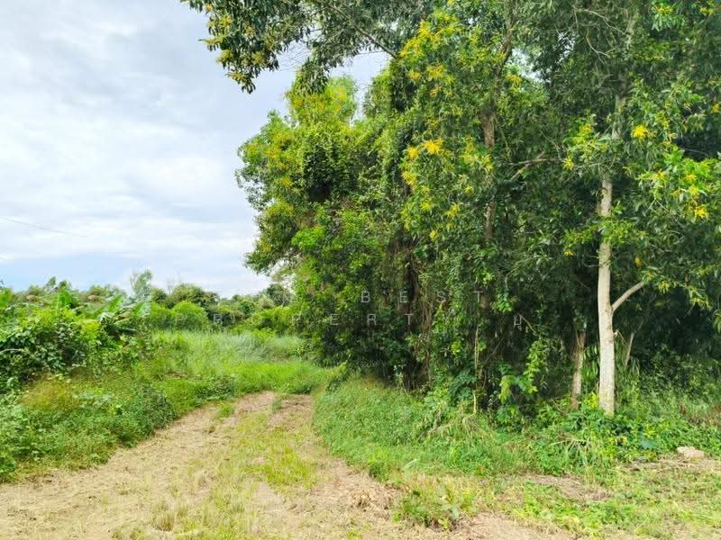 ที่ดินแกลง ระยอง, rayong, Thang Kwian, Klaeng, Rayong, , 1,865 sqm, Land For Sale, by The Best Property ยุ, 500587303 - DDproperty.com
