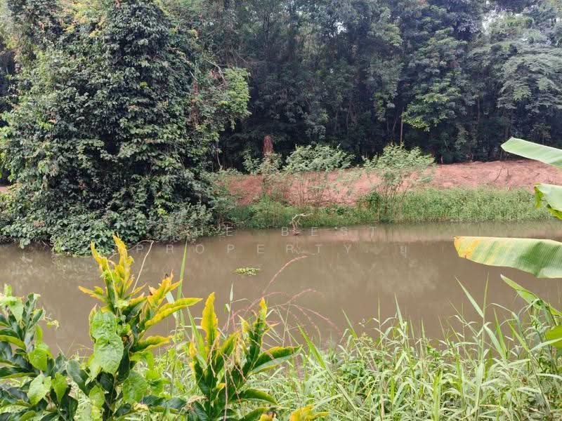 ที่ดินแกลง ระยอง, ระยอง, ทางเกวียน, แกลง, ระยอง, 1,865 ตร.ม., ที่ดิน ขาย, โดย The Best Property ยุ, 500587303 - DDproperty.com