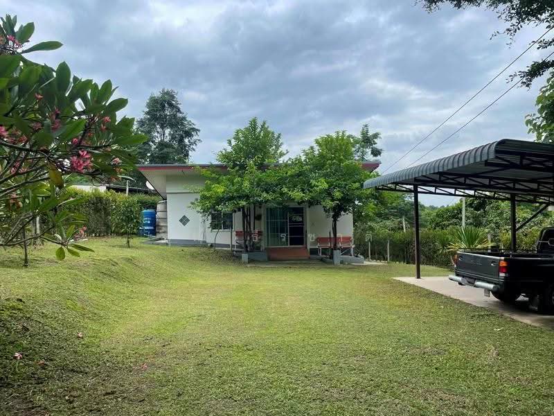House near Prem Internation School Mae rim บ้านแถวแม่ริม ใกล้โรงเรียนนานาชาติเปรม เชียงใหม่, เชียงใหม่, ห้วยทราย, แม่ริม, เชียงใหม่, 150 ตร.ม., บ้านเดี่ยว ให้เช่า, โดย คุณ ธีรชาติ, 500587306 - DDproperty.com
