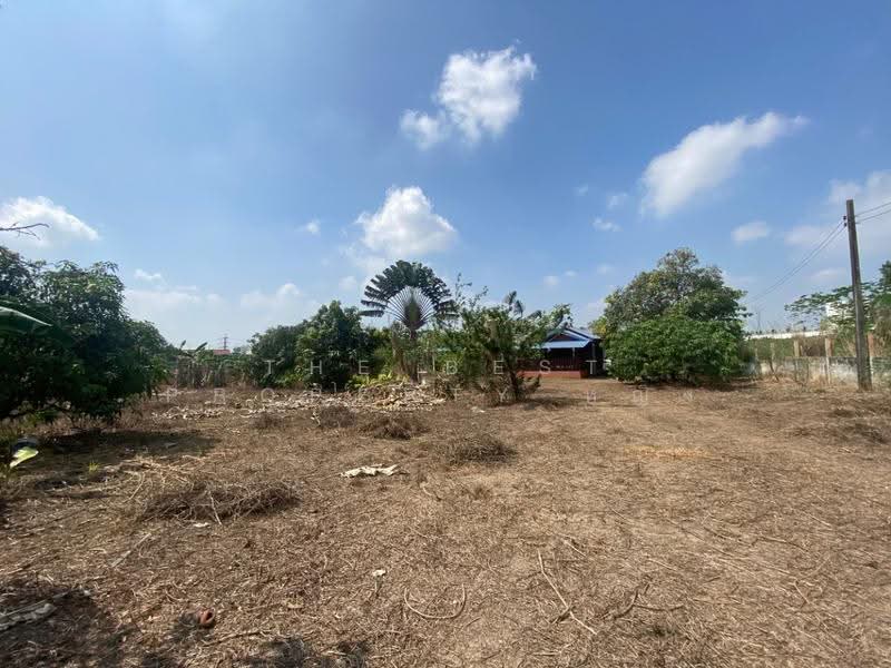 ที่ดินพร้อมสิ่งปลูกสร้างหนองใหญ่ ชลบุรี, Chon Buri (Pattaya), Nong Sua Chang, Nong Yai, Chon Buri (Pattaya), , 2,168 sqm, Land For Sale, by The Best Property หญิง, 500587436 - DDproperty.com