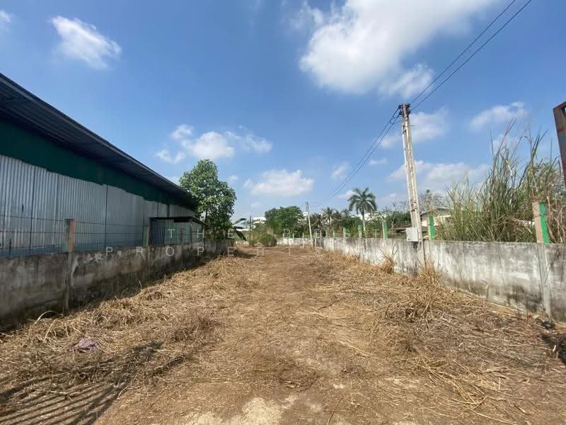 ที่ดินพร้อมสิ่งปลูกสร้างหนองใหญ่ ชลบุรี, Chon Buri (Pattaya), Nong Sua Chang, Nong Yai, Chon Buri (Pattaya), , 2,168 sqm, Land For Sale, by The Best Property หญิง, 500587436 - DDproperty.com