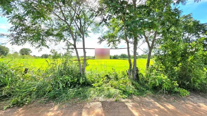 ที่ดินบรบือ มหาสารคาม, maha-sarakham, don Ngua, Borabu, Maha Sarakham, , 8,614 sqm, Land For Sale, by The Best Property ทองใบ, 500587576 - DDproperty.com