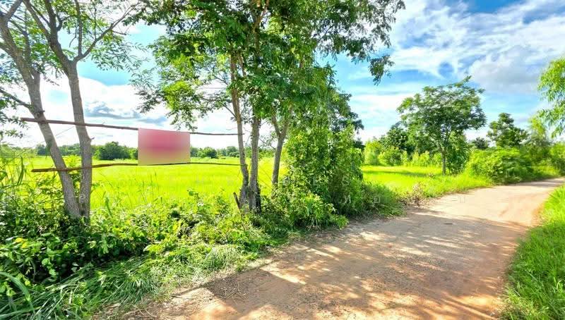 ที่ดินบรบือ มหาสารคาม, มหาสารคาม, ดอนงัว, บรบือ, มหาสารคาม, 8,614 ตร.ม., ที่ดิน ขาย, โดย The Best Property ทองใบ, 500587576 - DDproperty.com