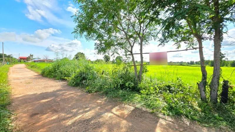 ที่ดินบรบือ มหาสารคาม, maha-sarakham, don Ngua, Borabu, Maha Sarakham, , 8,614 sqm, Land For Sale, by The Best Property ทองใบ, 500587576 - DDproperty.com