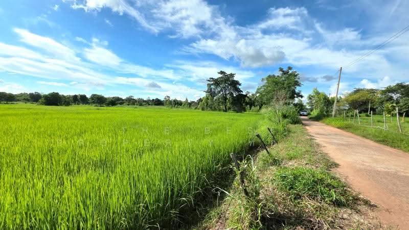 ที่ดินบรบือ มหาสารคาม, มหาสารคาม, ดอนงัว, บรบือ, มหาสารคาม, 8,614 ตร.ม., ที่ดิน ขาย, โดย The Best Property ทองใบ, 500587576 - DDproperty.com