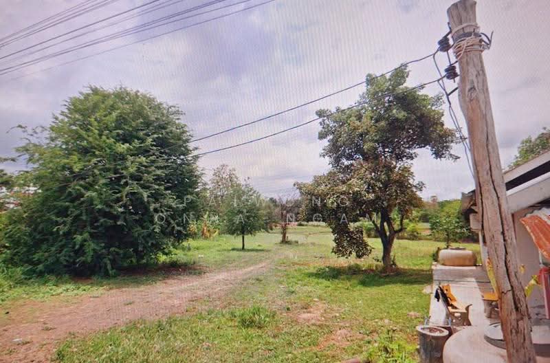 ขายที่ดินเปล่า 23-3-72 ไร่ ติดถนน 2 ด้าน อ.เมืองชัยภูมิ จ.ชัยภูมิ, chaiyaphum, Huai Ton, Muang Chaiyaphum, Chaiyaphum, , 38,288 sqm, Land For Sale, by Paiwong Onna-nam, 500587867 - DDproperty.com
