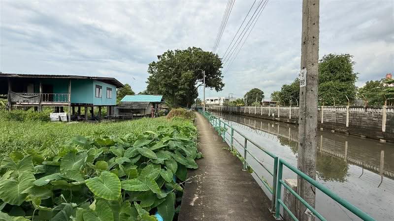ที่ดินเปล่า 200 ตร.ว. ที่ดินเปล่าอ่อนนุช80 แยก5, กรุงเทพ, ถนนอ่อนนุช, ประเวศ, กรุงเทพ, 800 ตร.ม., ที่ดิน ขาย, โดย คุณ วนิดา แสนทวีสุข (นิ), 500587887 - DDproperty.com