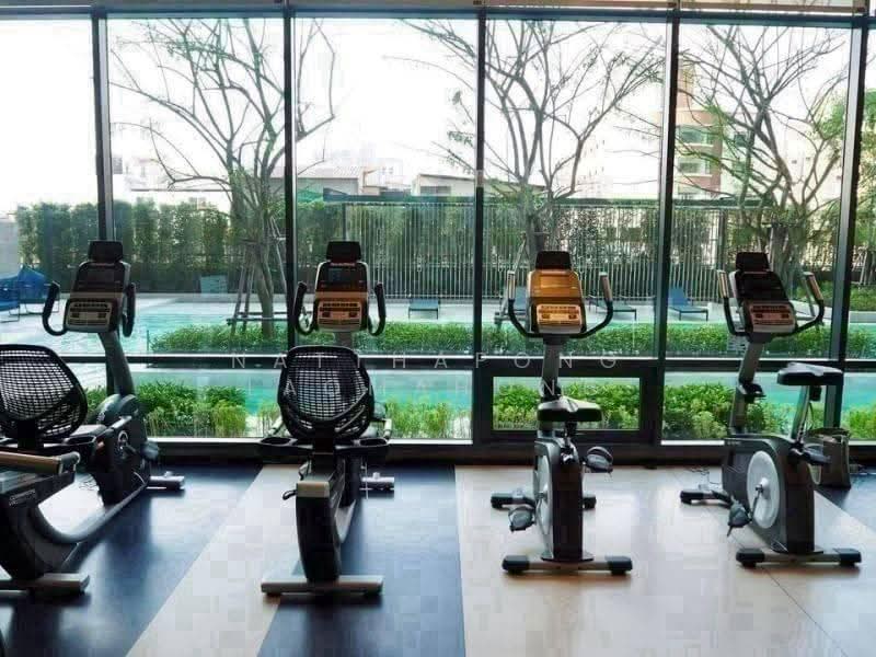 IDEO Sukhumvit 93, bangkok, 2331 Soi Sukhumvit 93, Bang Chak, Phra Khanong, Bangkok, 1 Bedroom, 35 sqm, Condo For Rent, by Natthapong Laomahong, 500587902 - DDproperty.com