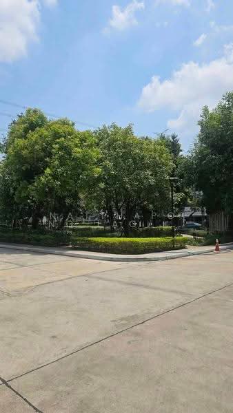 undefined, bangkok, Suan Luang, Bangkok, 3 Bedrooms, 152 sqm, Single Detached House For Sale, by Natthapong Laomahong, 500587972 - DDproperty.com