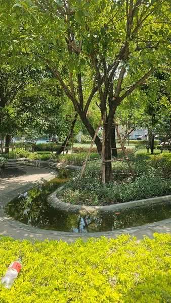 undefined, bangkok, Suan Luang, Bangkok, 3 Bedrooms, 152 sqm, Single Detached House For Sale, by Natthapong Laomahong, 500587972 - DDproperty.com