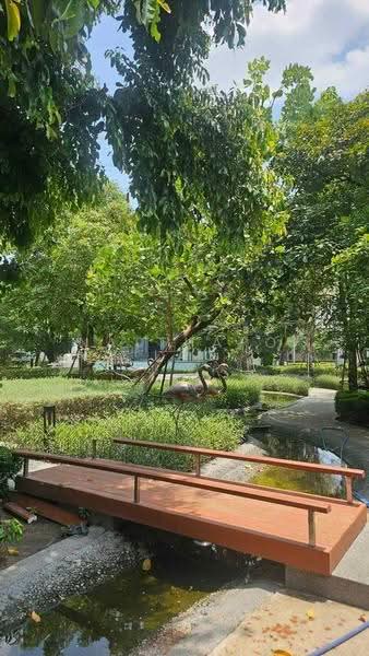 undefined, bangkok, Suan Luang, Bangkok, 3 Bedrooms, 152 sqm, Single Detached House For Sale, by Natthapong Laomahong, 500587972 - DDproperty.com
