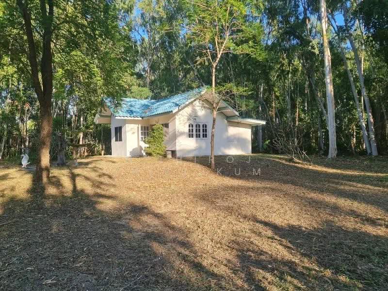 2-BR House, prachuap-khiri-khan, Rai Kao, Sam Roi Yot, Prachuap Khiri Khan, 2 Bedrooms, 66 sqm, Single Detached House For Sale, by Nithiroj Thipsukum, 500588002 - DDproperty.com