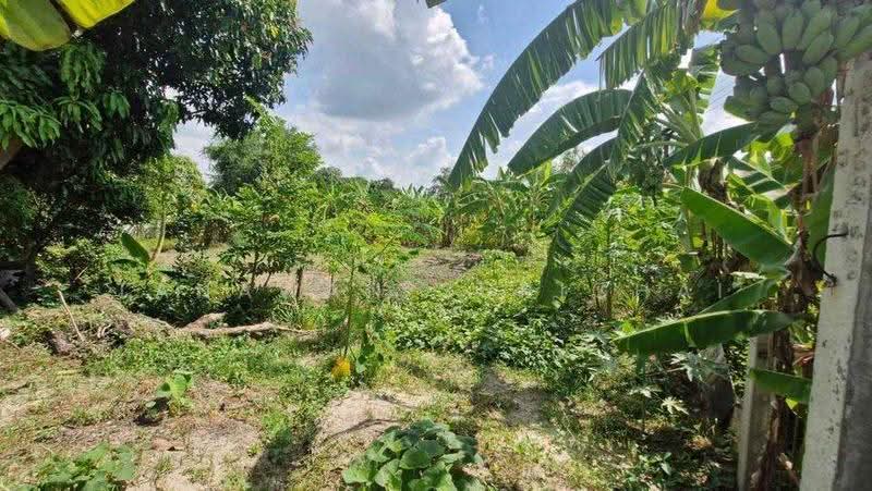 4-BR House, chon-buri, Phan Thong, Chon Buri (Pattaya), 4 Bedrooms, 220 sqm, Single Detached House For Sale, by Tanawan Surichai, 500588040 - DDproperty.com