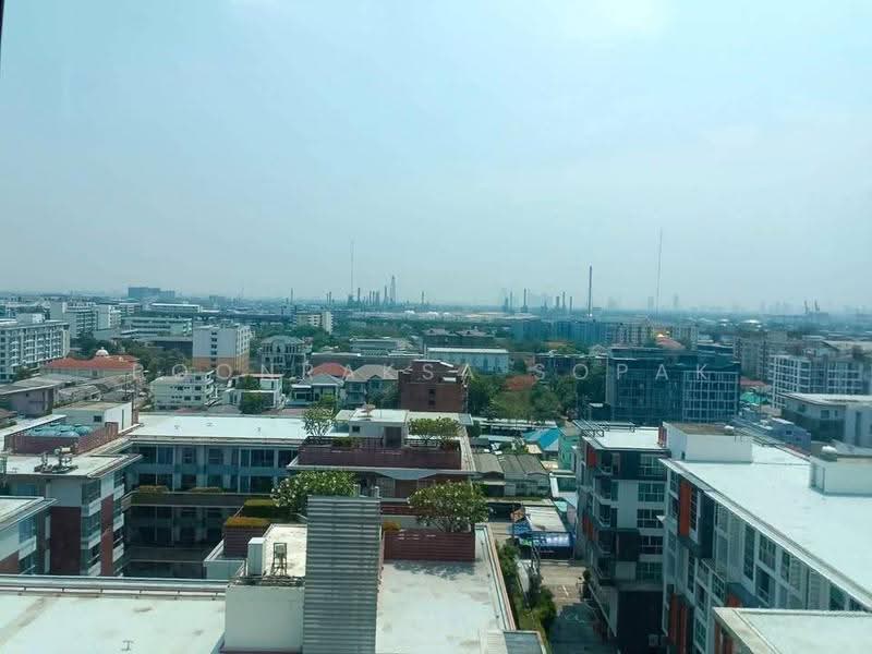 The Room Sukhumvit 62, bangkok, 2288 Sukhumvit Road, Bang Chak, Phra Khanong, Bangkok, 1 Bedroom, 45 sqm, Condo For Rent, by Boonraksa Sopak, 500588059 - DDproperty.com