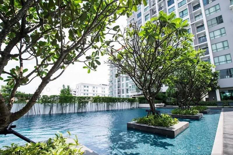 The Room Sukhumvit 62, bangkok, 2288 Sukhumvit Road, Bang Chak, Phra Khanong, Bangkok, 1 Bedroom, 45 sqm, Condo For Rent, by Boonraksa Sopak, 500588059 - DDproperty.com