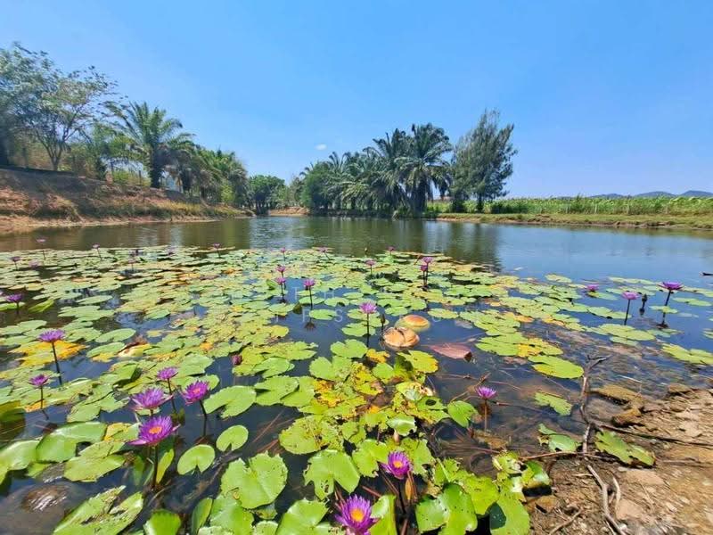 undefined, prachuap-khiri-khan, Nong Phap, Hua Hin, Prachuap Khiri Khan, 7 Bedrooms, 700 sqm, Single Detached House For Sale, by Nithiroj Thipsukum, 500588110 - DDproperty.com