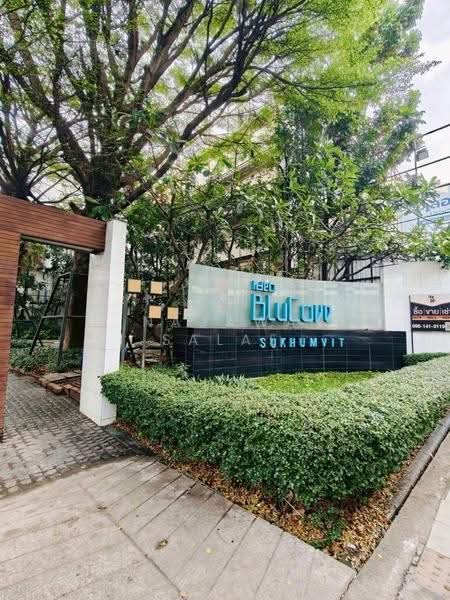 IDEO Blucove Sukhumvit, bangkok, 2952 Sukhumvit Road, Bang Na, Bangkok, 1 Bedroom, 33 sqm, Condo For Rent, by Najawa Salae, 500588181 - DDproperty.com